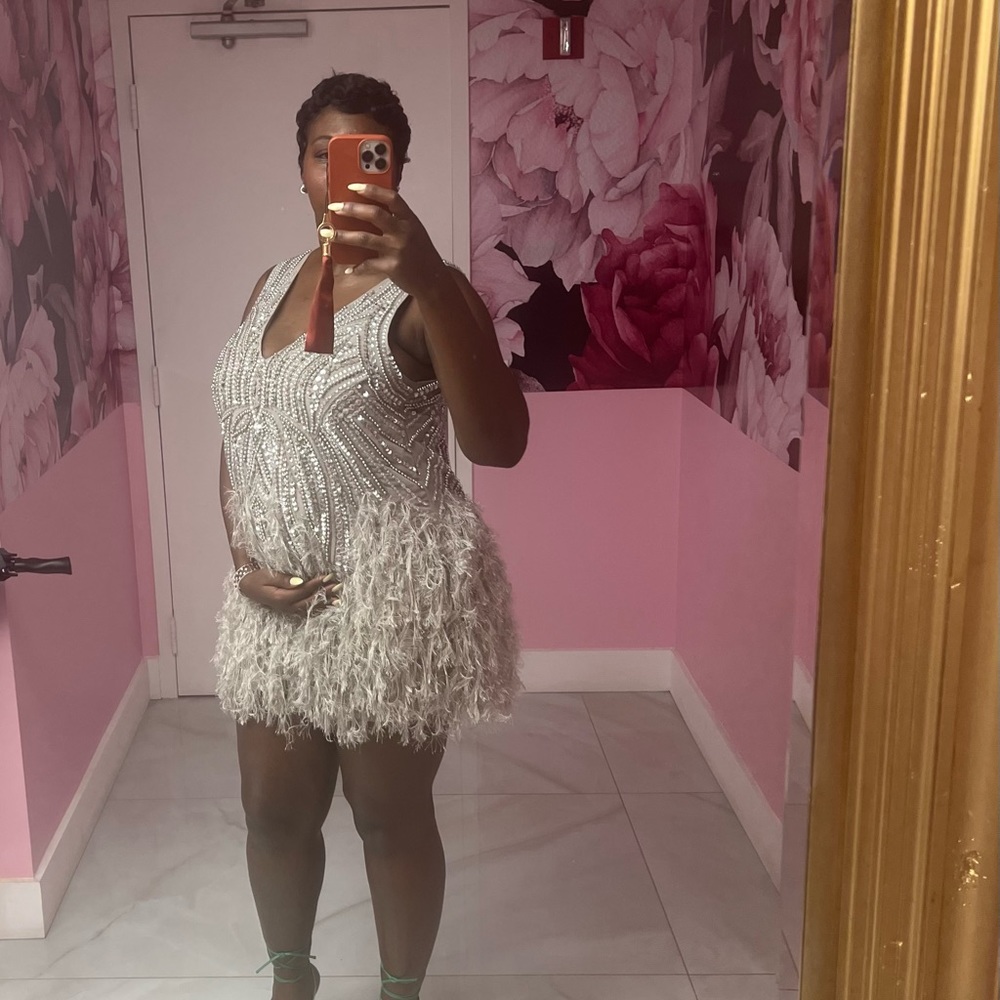 Silver Feather number